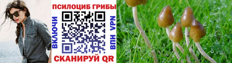 Псилоцибиновые грибы Cubensis  мега ссылка  Кирово-Чепецк  закладка 