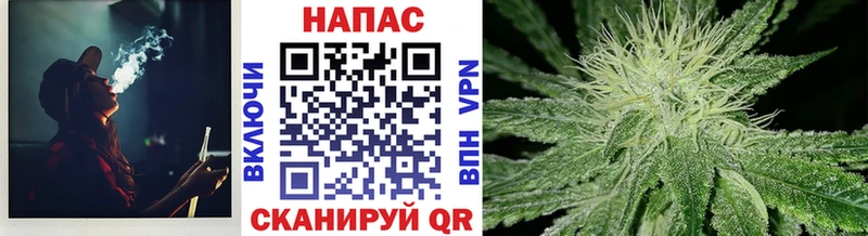 Шишки марихуана марихуана  Кирово-Чепецк 